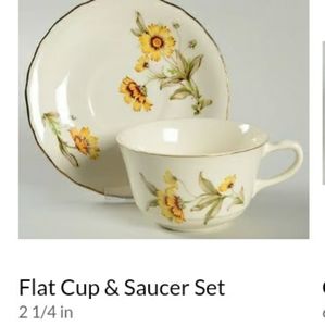 ⚜️ Vintage Autumn Mist Dinnerware RARE CANONSBURG PRISTINE